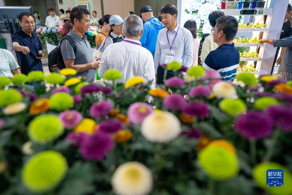 芽庄赌场